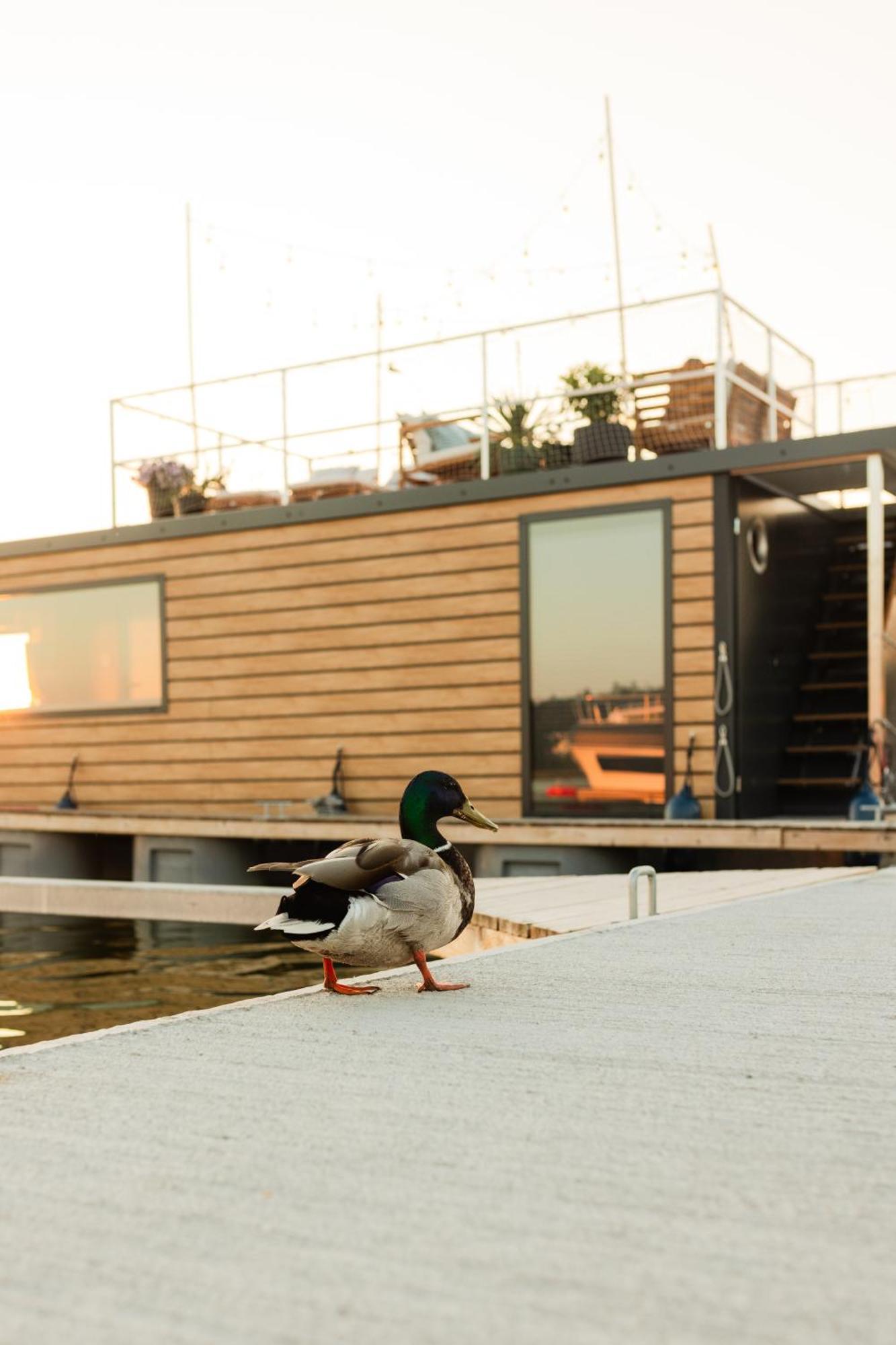 Domek Na Wodzie - Houseboat -Sauna, Taras Na Dachu, Dwie Sypialnie Mikołajki Eksteriør billede